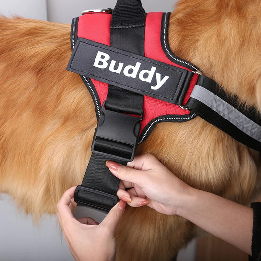 Personalized Breathable Dog Harness