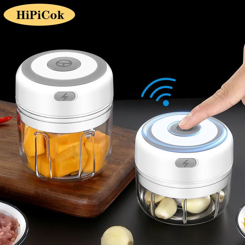 Mini Food Grinder