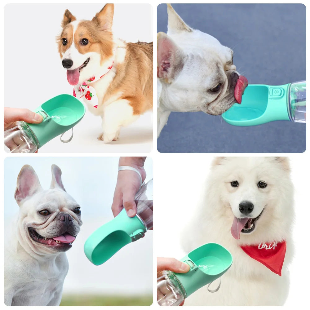 Water Dog Foldable Bottle